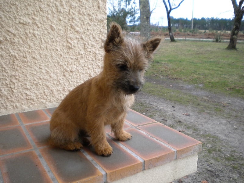 Publication : d'Isarudy Auteur : Maë Photographies