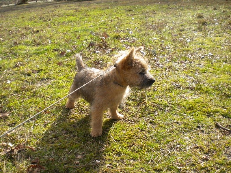 Publication : d'Isarudy Auteur : Maë Photographies