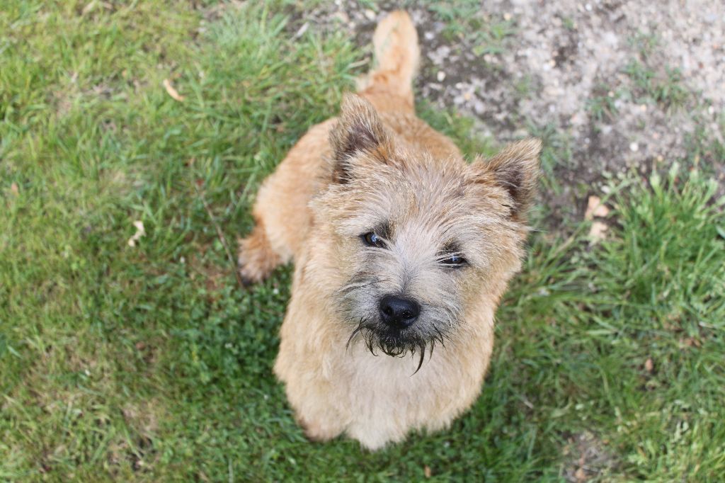 Publication : d'Isarudy Auteur : Maë Photographies