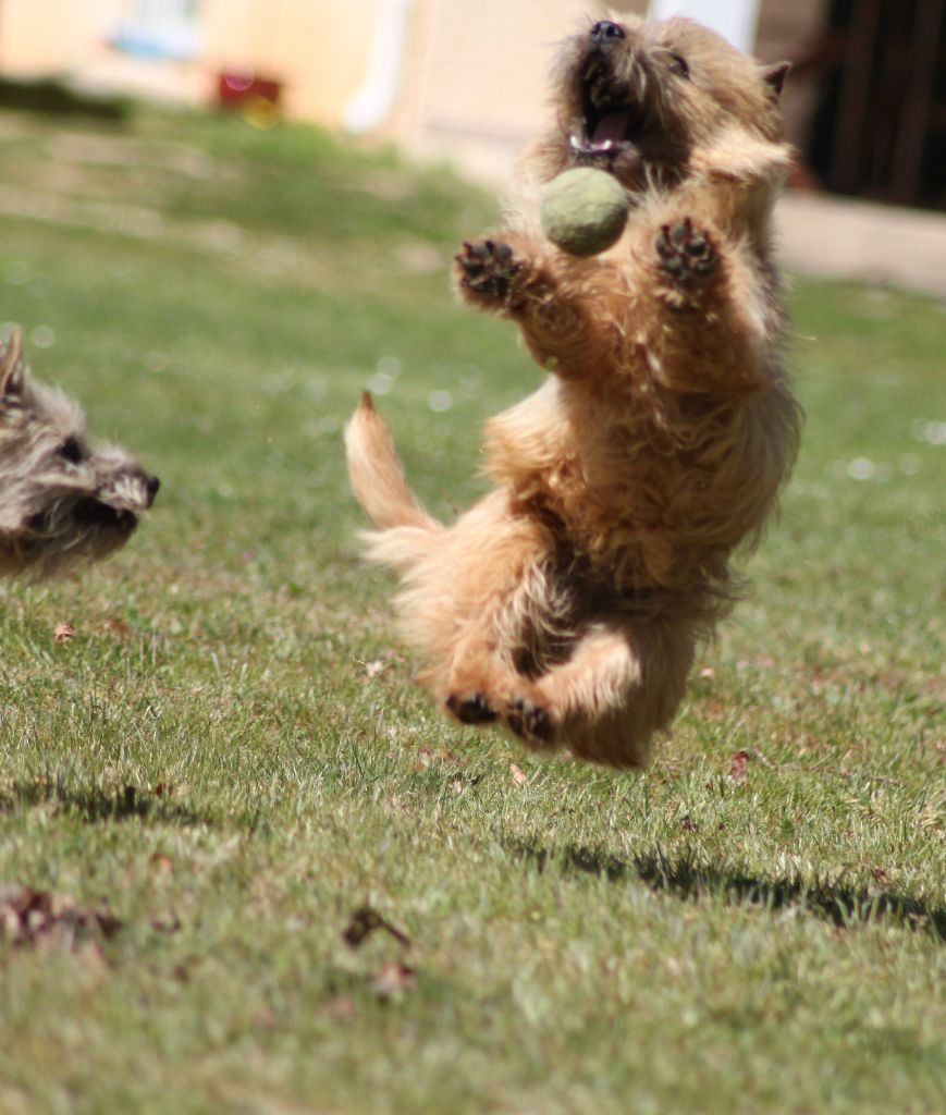 Publication : d'Isarudy Auteur : Maë Photographies