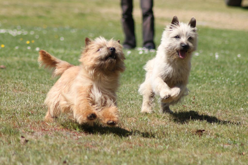 Publication : d'Isarudy Auteur : Maë Photographies