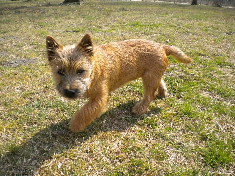 Publication : d'Isarudy Auteur : Maë Photographies