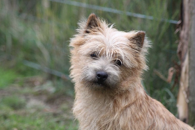 Publication : d'Isarudy Auteur : Maë Photographies