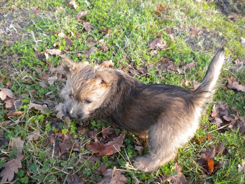 Publication : d'Isarudy Auteur : Maë Photographies