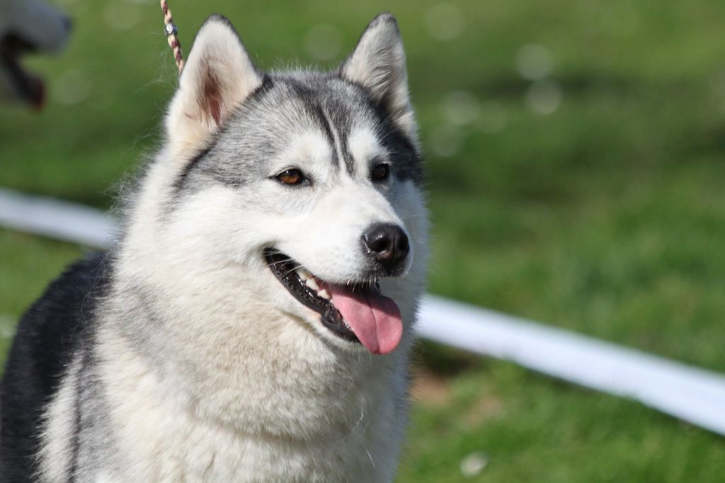 Just in my heart dite jena Of cold winter nights - Exc - Classe ouverte