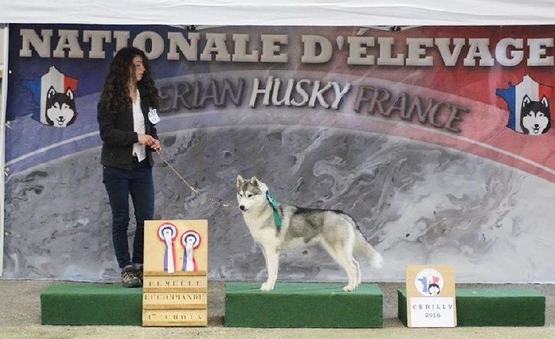 Just in my heart dite jena Of cold winter nights - Exc + Recommandée 1er choix