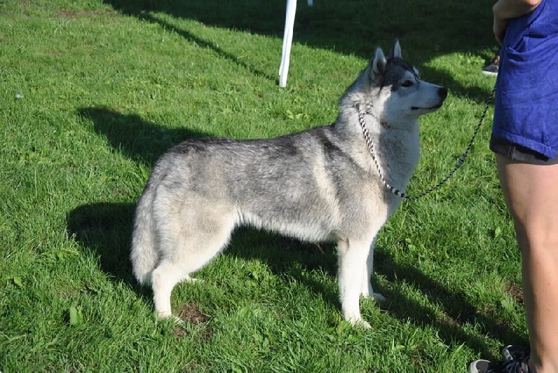 Just in my heart dite jena Of cold winter nights - 1er EXC