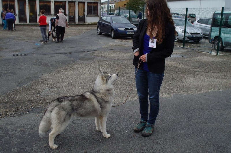 Just in my heart dite jena Of cold winter nights - Classe Intermédiaire-2ème Exc