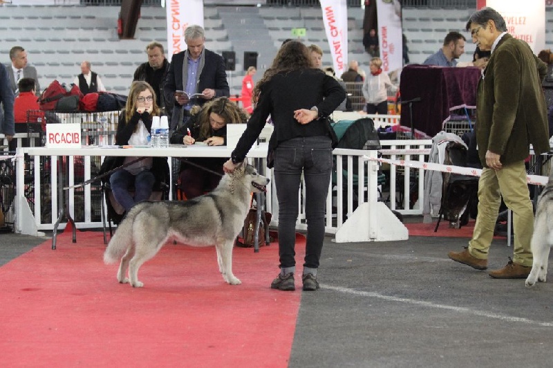 Just in my heart dite jena Of cold winter nights - Classe Inter 1er Exc