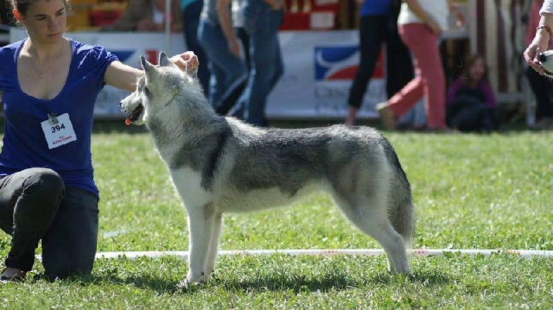 Just in my heart dite jena Of cold winter nights - 4ème Exc - Classe Jeune