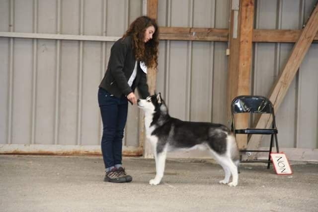 Iwok Of cold winter nights - Exc + Recommandé 1er choix