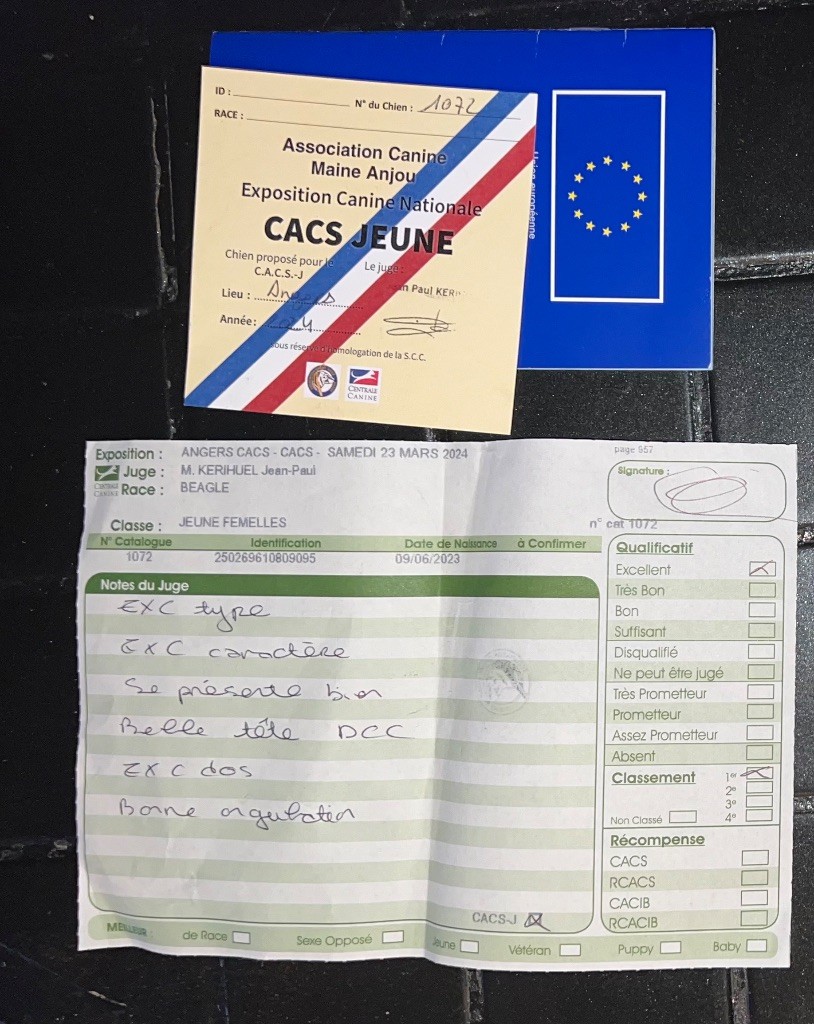 Una Lou Crystal Song - J-CACS