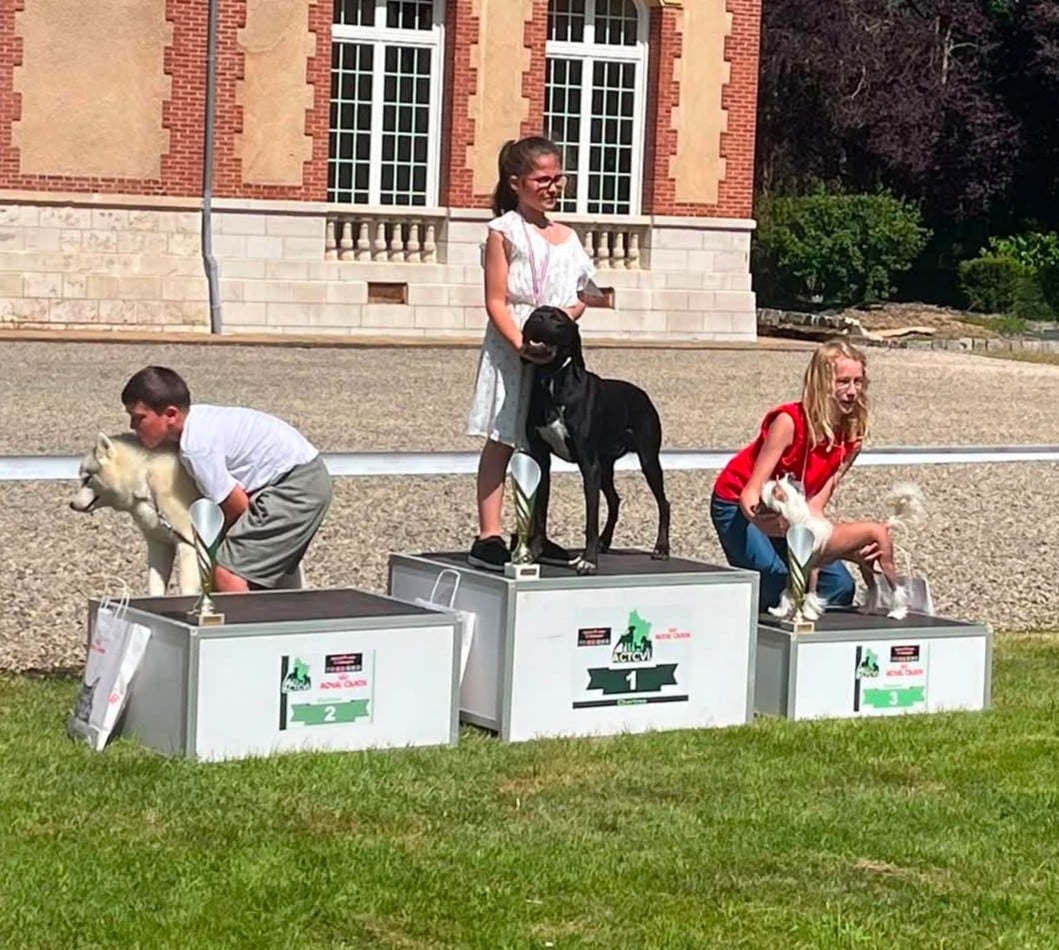 Rebel des conquérants d'Oc - 1ER RING HONNEUR JEUNES PRESENTATEURS