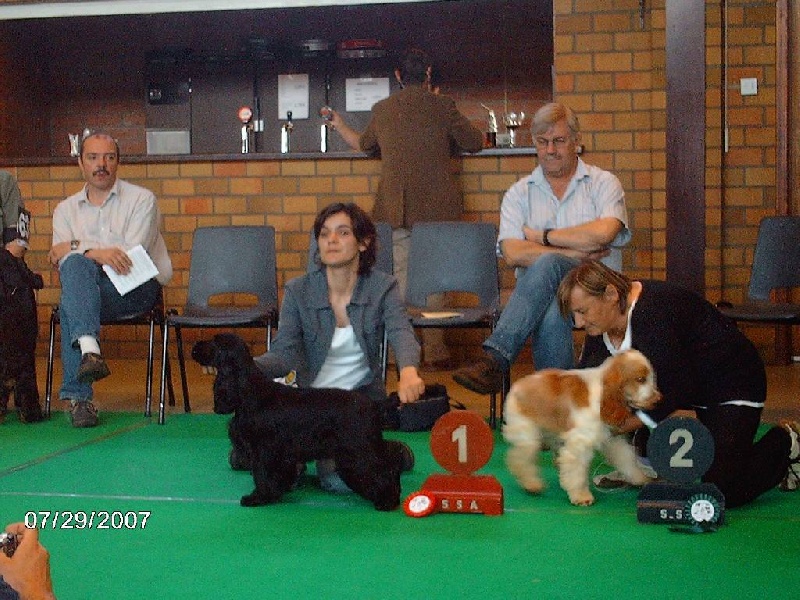 TR. CH. Baïka de la terre d'Opale