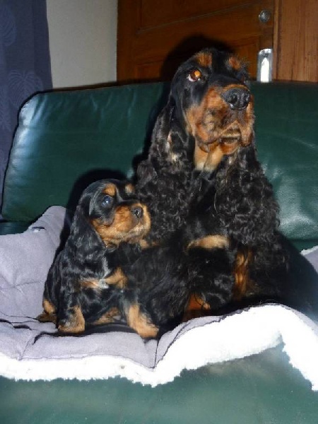 Eden de la terre d'Opale