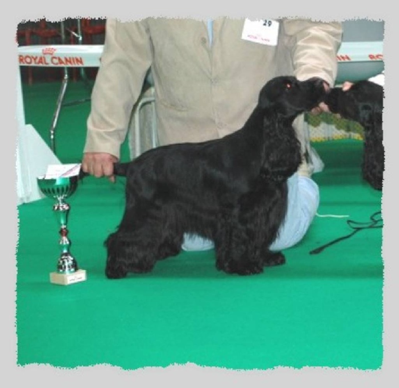 TR. CH. Baïka de la terre d'Opale