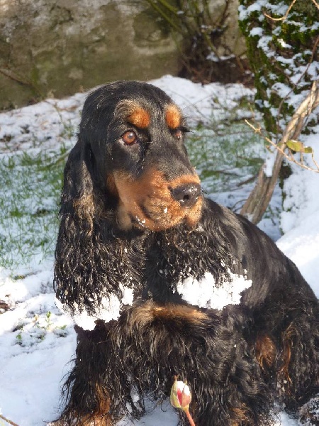 Eden de la terre d'Opale