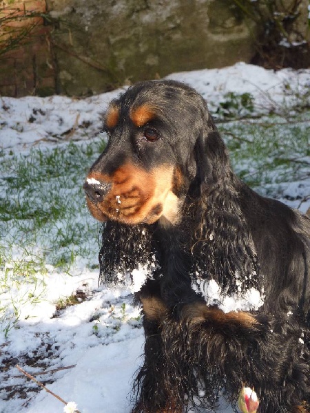 Eden de la terre d'Opale