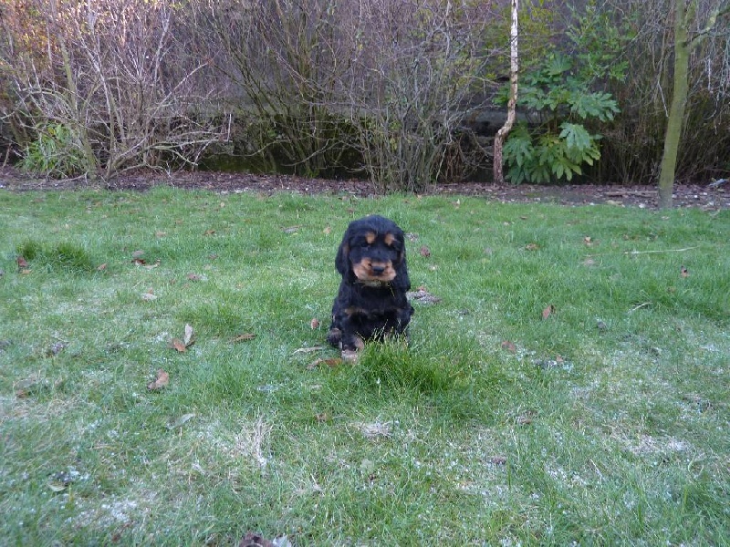 Eden de la terre d'Opale