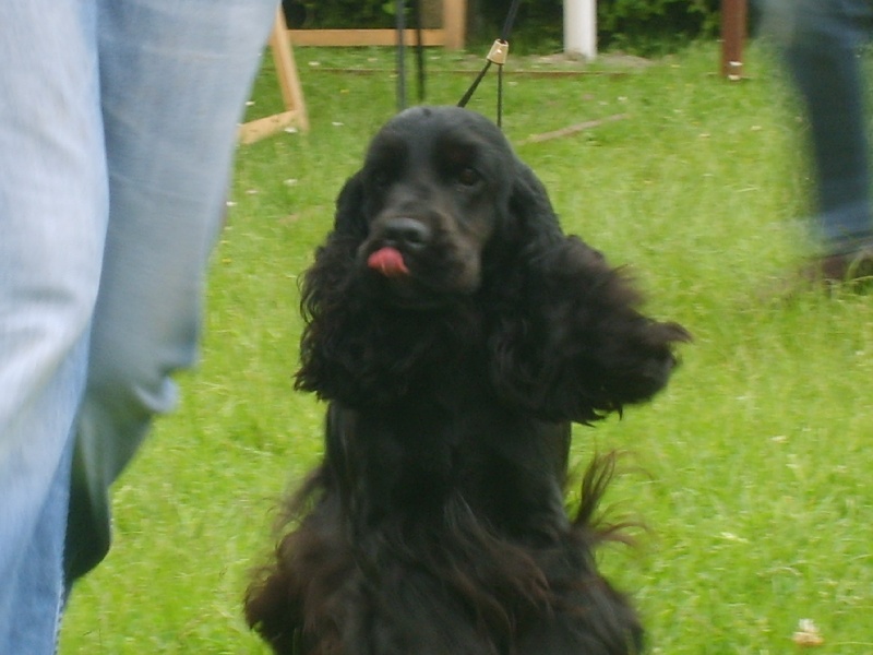 TR. CH. Baïka de la terre d'Opale