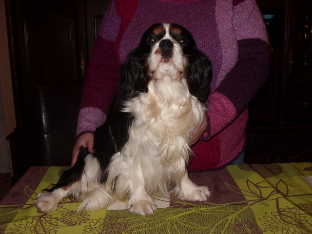 Publication : du Chemin Des Puits Tournants Auteur : MR DUNGLAS