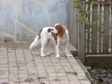 Publication : du Chemin Des Puits Tournants Auteur : MME DUVAL