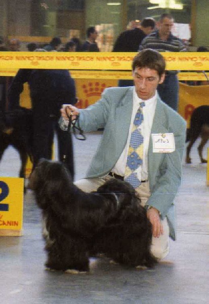 CH. Nomechan Jazzy-dharan