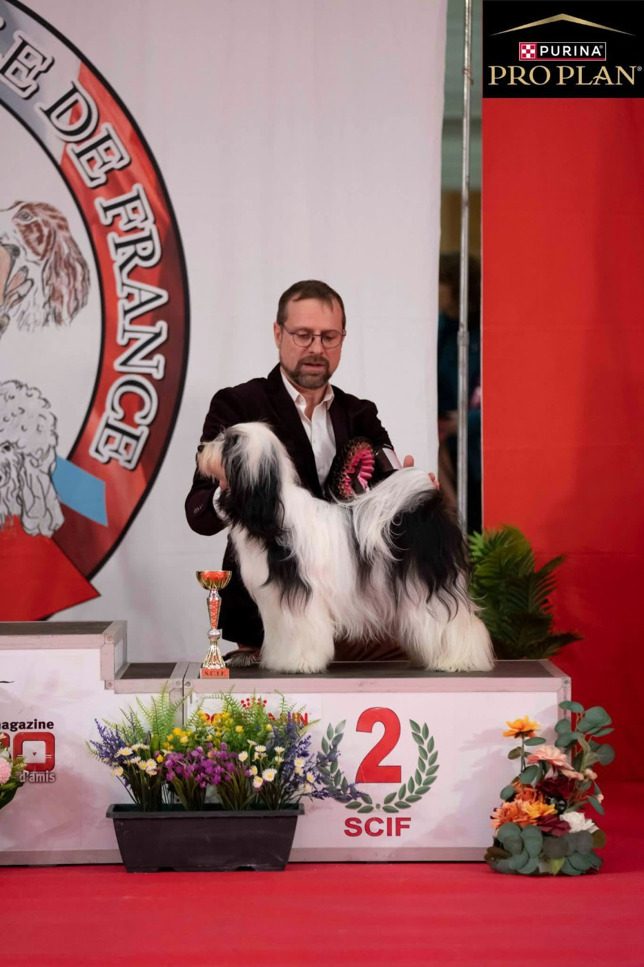 CH. Nomechan Virya-lamleh - 1ére Excellent classe intermédiaire CACS Meilleure de race RBOG