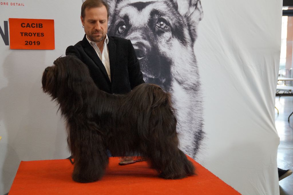 CH. Nomechan Nadis-lamleh - 1er Excellent Classe Intermédiaire