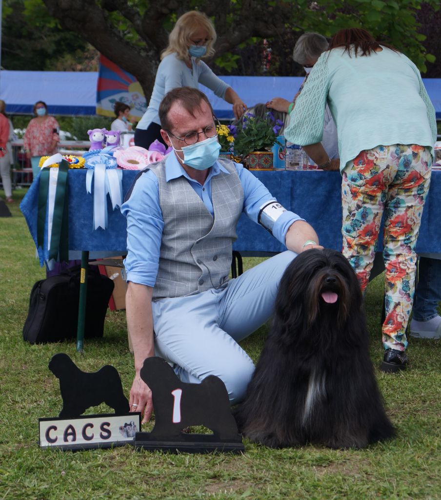 CH. Nomechan Nadis-lamleh - 1 er Excellent CACS Championnat