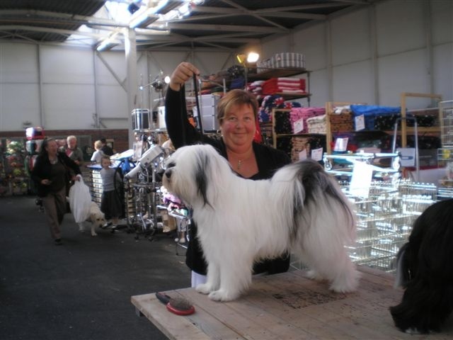 CH. Nomechan Dali-zane - 1 er excellent CACS