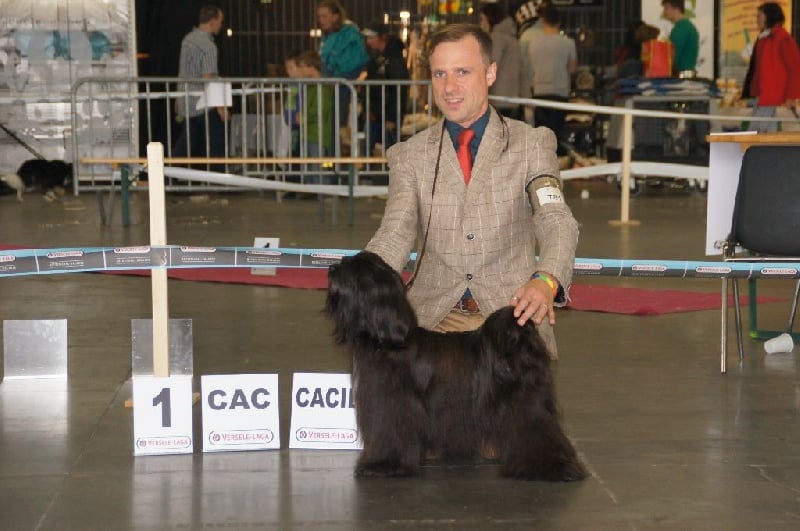 CH. Nomechan Gyä-nada-lamleh - 1ére EXC CAC/CACIB