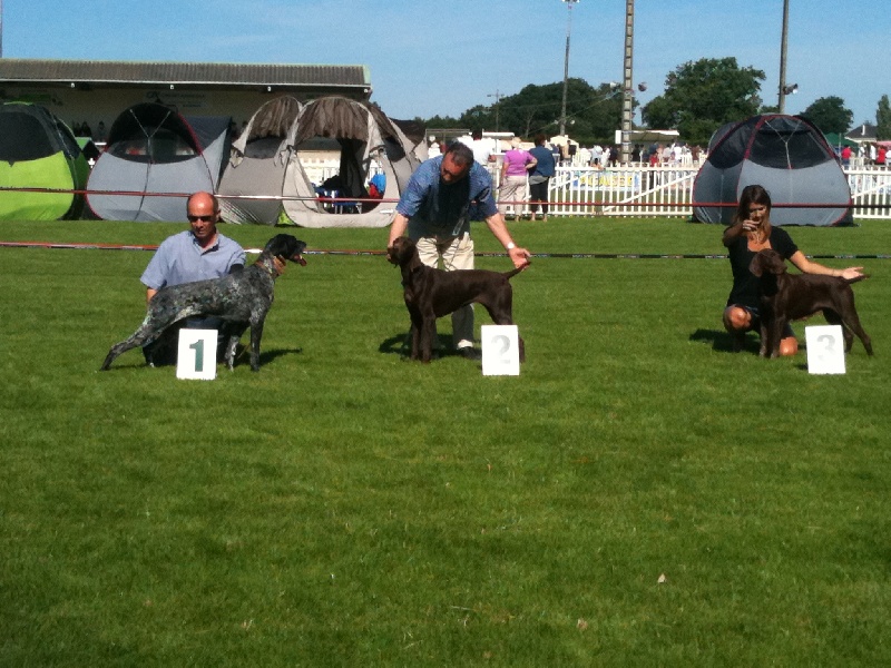 Déesse du Marais de Gargouille - C.A.C.S. Meilleur de race