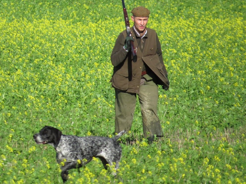 Déesse du Marais de Gargouille - 2ème Categorie Chasseur Chiens d'arrêt