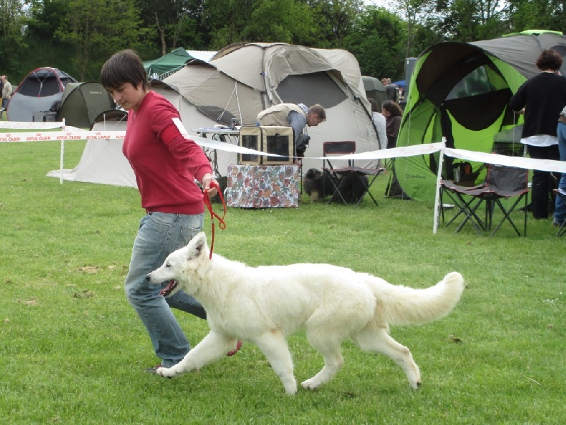 Publication : des Ecuries du Conti Auteur : Julie CLAUDON