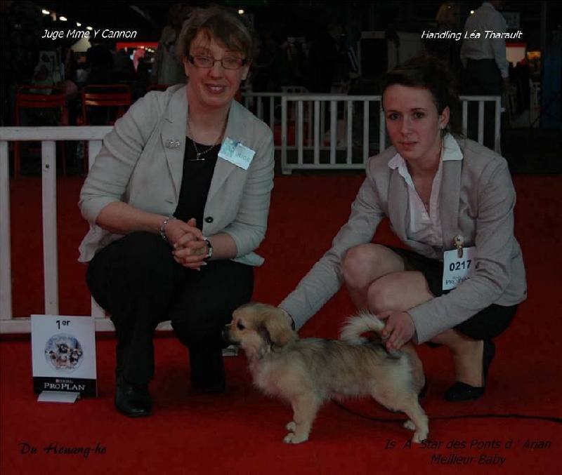 Is a star des ponts d'Arian - 1er Très Prometteur Meilleur BABY