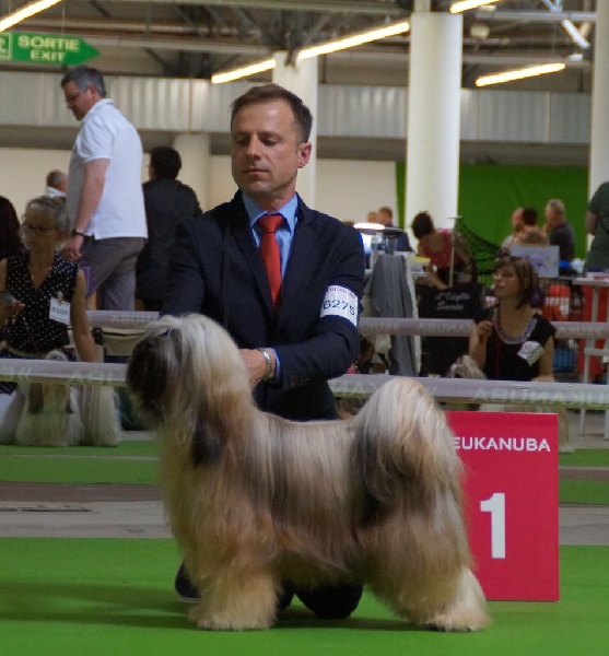 CH. Iwan-lamleh of Wamil Ajendra - Champion de France