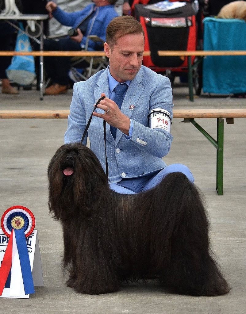 CH. Drong-lamleh of Wamil Ajendra - CAC CACIB BOB