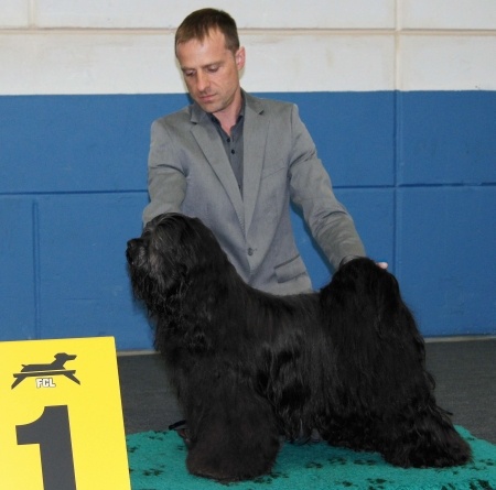 CH. Drong-lamleh of Wamil Ajendra - CAC CACIB