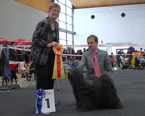 CH. Drong-lamleh of Wamil Ajendra - CAC vdh CAC ktr BOB, Sieger Karlsruhe