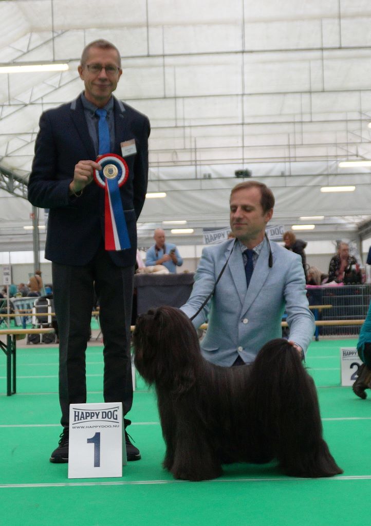 CH. Drong-lamleh of Wamil Ajendra - 1er Excellent CAC CACIB BOB