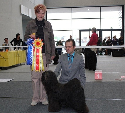 CH. Drong-lamleh of Wamil Ajendra - CAC vdh CAC ktr CACIB BOB, Sieger Baden-Württemberg, res groupe 9