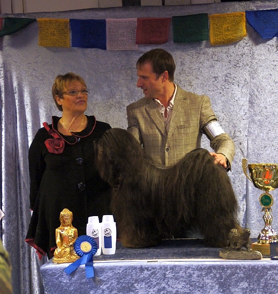 CH. Drong-lamleh of Wamil Ajendra - CAC Meilleur de Race et Club Winner