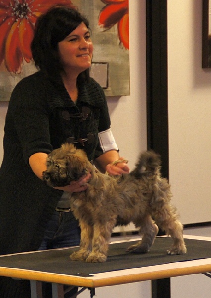 CH. Iwan-lamleh of Wamil Ajendra - 2nd Trés Prometeur classe baby