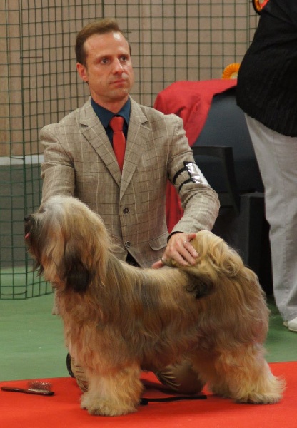 CH. Iwan-lamleh of Wamil Ajendra - RCAC