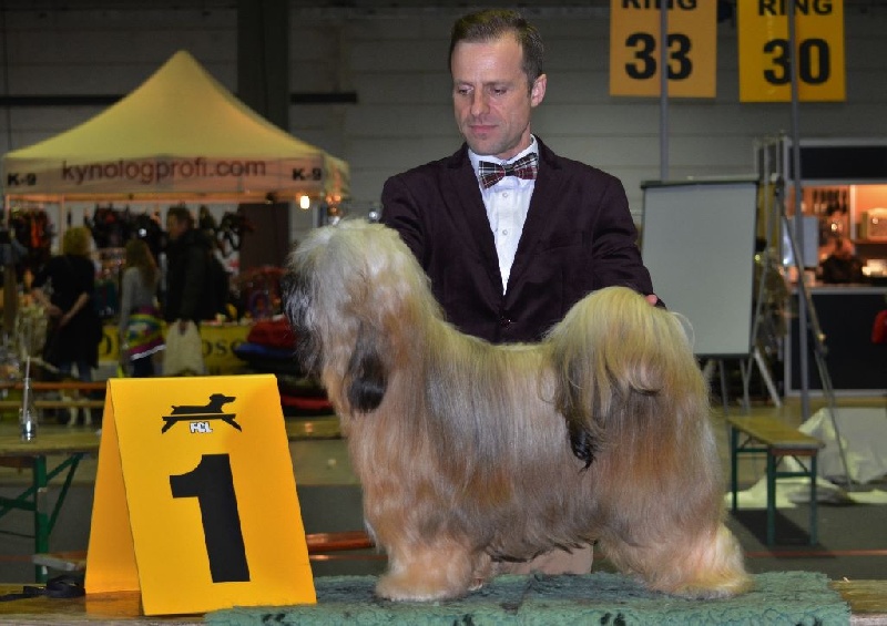 CH. Iwan-lamleh of Wamil Ajendra - 1er Excellent CAC/CACIB meilleur de race