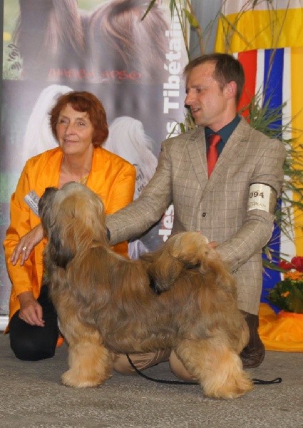 CH. Iwan-lamleh of Wamil Ajendra - 1er Excellent Classe Jeune