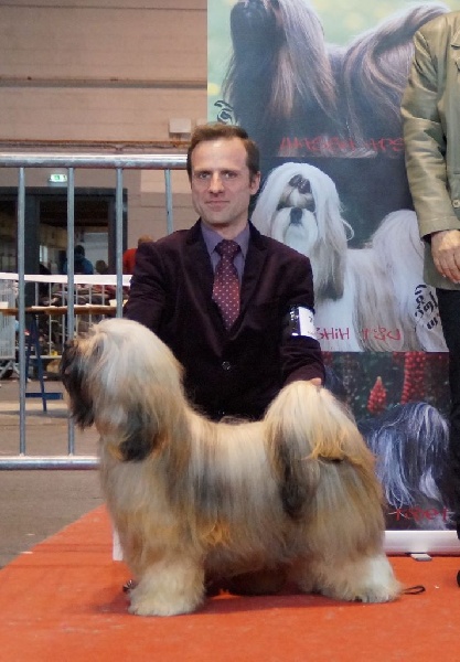 CH. Iwan-lamleh of Wamil Ajendra - 1er Excellent CAC/CACIB meilleur de race