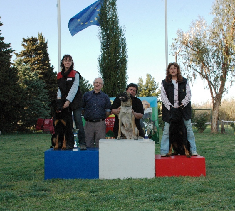 CH. Devak du Banc des Hermelles - RCI 3 Bon