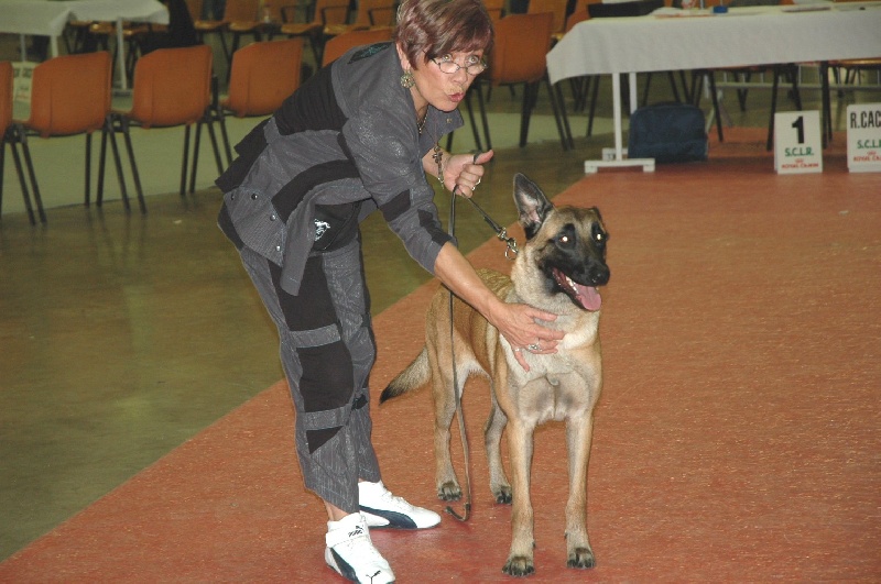 CH. Devak du Banc des Hermelles - Bon